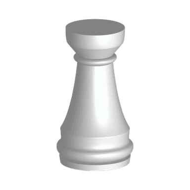 Rook